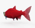 Sockeye Salmon 3d model