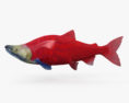 Salmone rosso Modello 3D