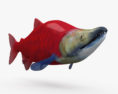 Salmone rosso Modello 3D