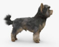 Yorkshire Terrier 3d model