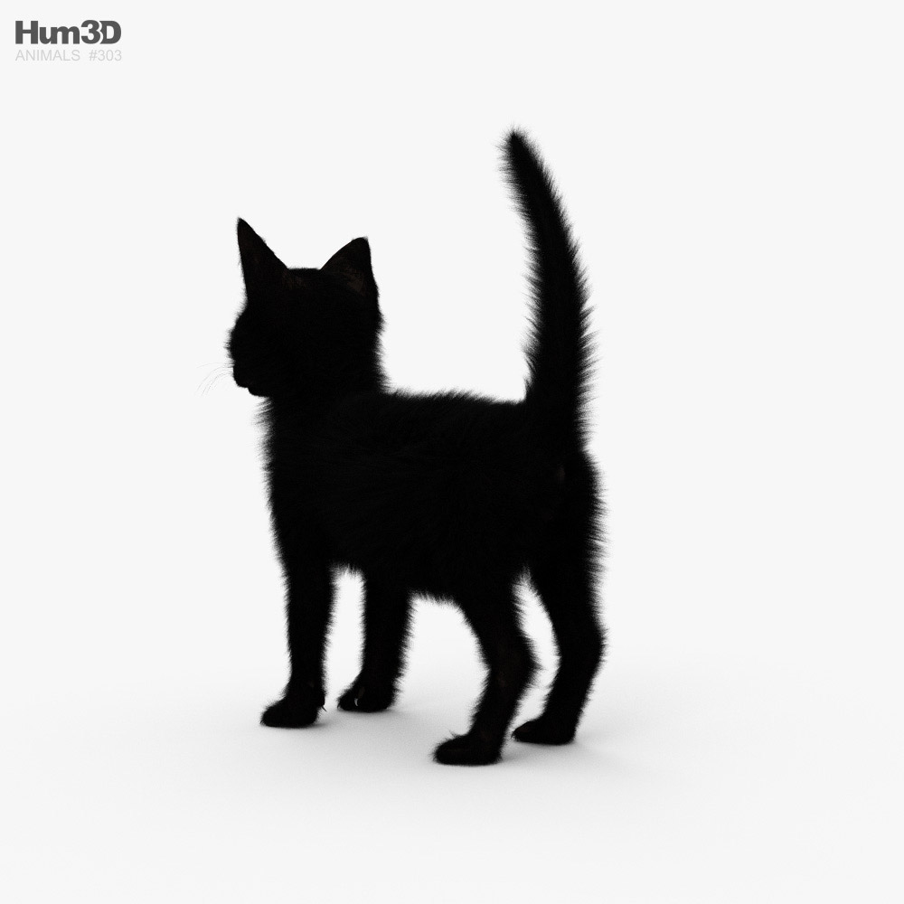 1.113.527 imagens, fotos stock, objetos 3D e vetores de Gato preto