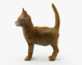 Ginger Kitten 3d model