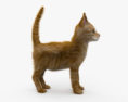 Ginger Kitten 3d model