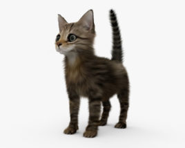 Kitten 3D model