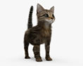 Kitten 3d model