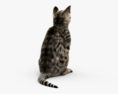 Сидячий кіт 3D модель