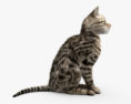 앉아있는 고양이 3D 모델 