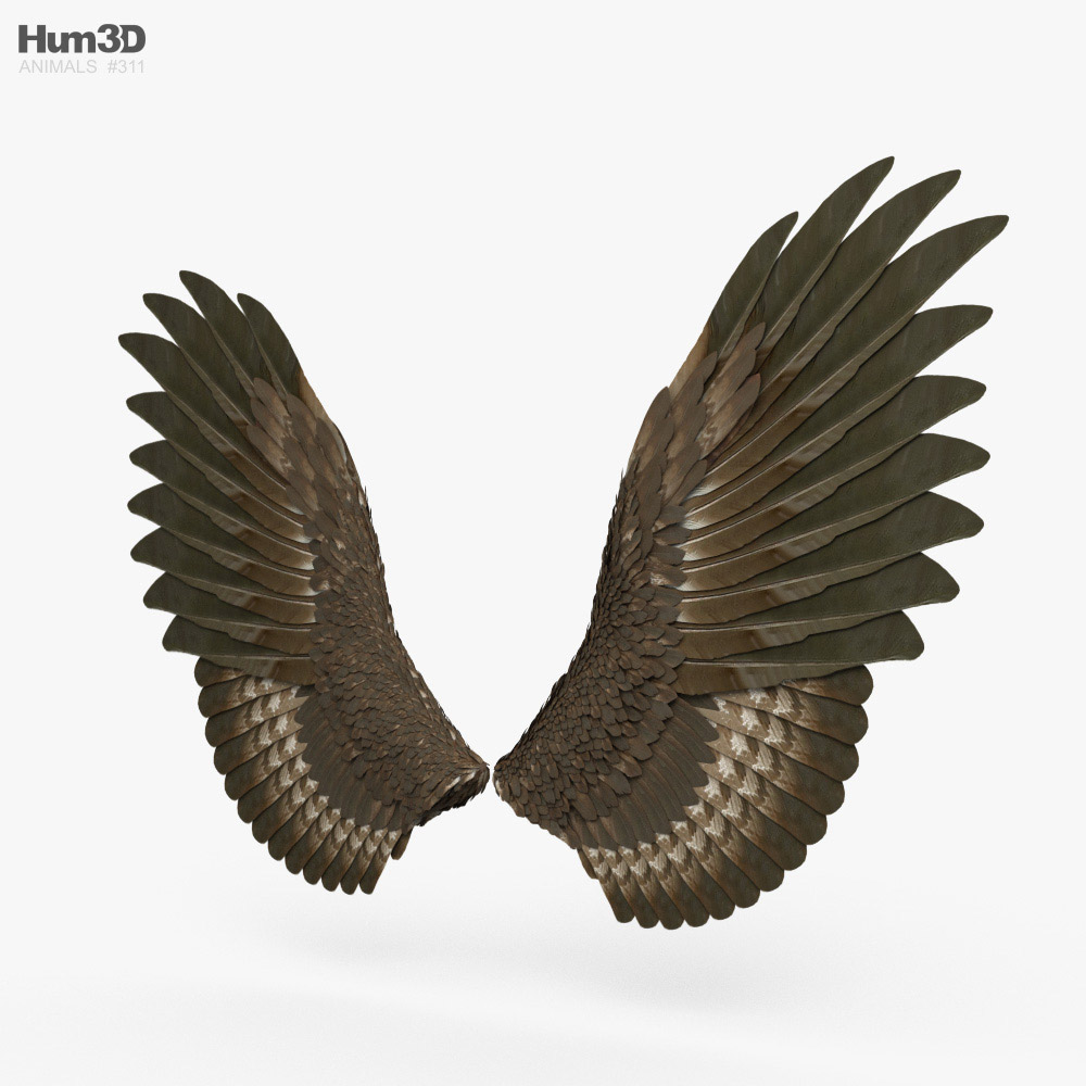 새 날개 3D 모델 