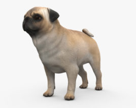 Pug 3D model