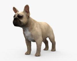 French Bulldog 3D model