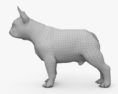 Französische Bulldogge 3D-Modell