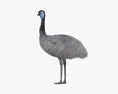 Emu 3d model