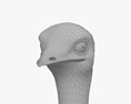 Großer Emu 3D-Modell