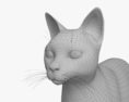 Siamese Cat 3d model