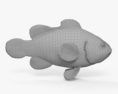 Pesci pagliaccio Modello 3D