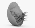 鹦鹉螺科 3D模型