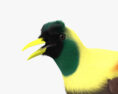 红极乐鸟 3D模型