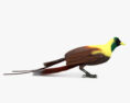 Roter Paradiesvogel 3D-Modell
