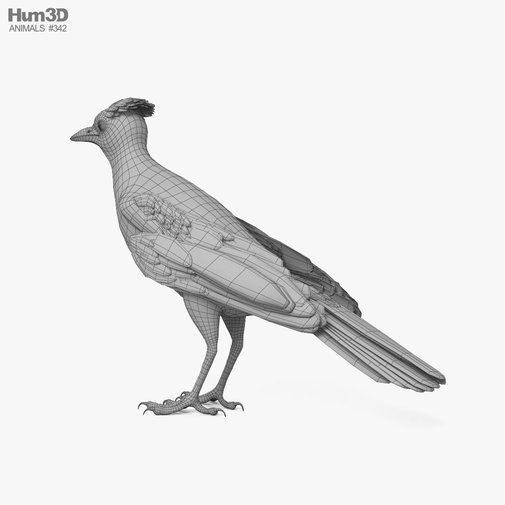 357 Blue Jay Sketch Images, Stock Photos, 3D objects, & Vectors