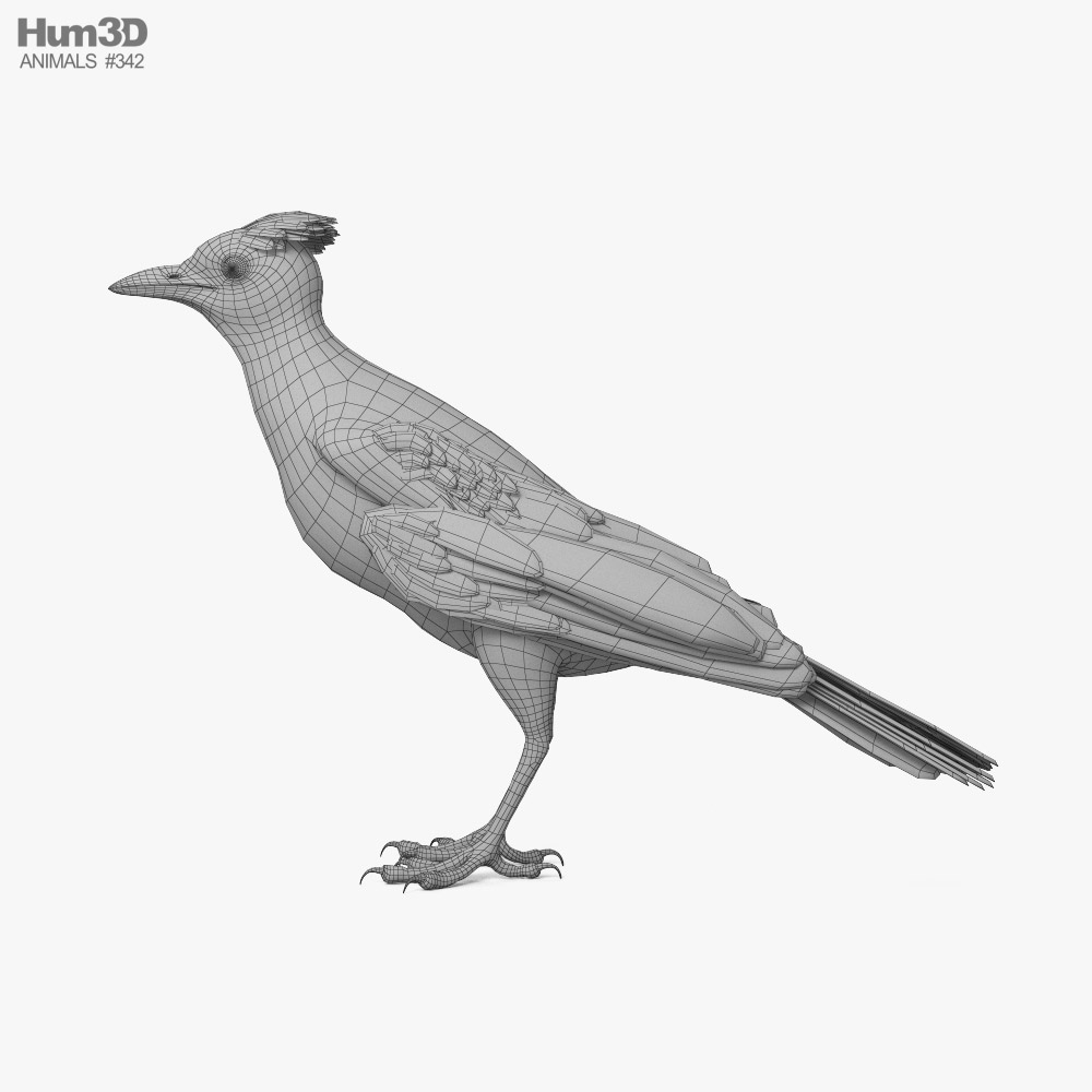 1,149 Blue Jay Drawing Images, Stock Photos, 3D objects, & Vectors