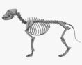 Dog Skeleton 3d model