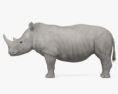 Rinoceronte Branco Modelo 3d