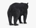 美洲黑熊 3D模型