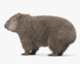 Wombat Modelo 3d