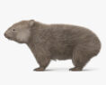 Wombat Modelo 3d