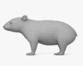Wombat 3D-Modell