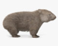 Wombat 3D-Modell