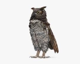 Great Horned Owl 3D model