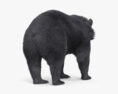 Asian Black Bear 3d model