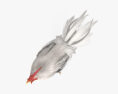 Rooster Leghorn 3D 모델 
