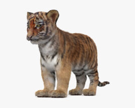 Tiger Cub 3D model