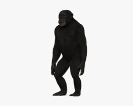 Chimpanzé Modelo 3d