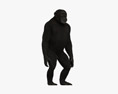 チンパンジー 3Dモデル