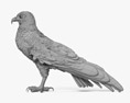 Águila pescadora Modelo 3D