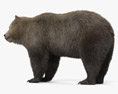 Бурий Ведмідь 3D модель
