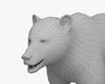 棕熊 3D模型