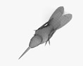 Колибри-талурания 3D модель