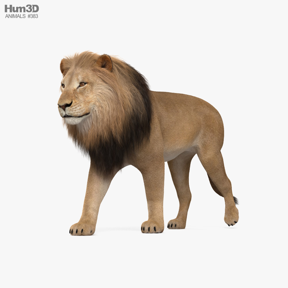 Lion Walking 3D model