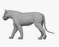 Lion Walking 3D-Modell