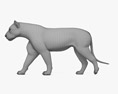 Lion Walking 3D-Modell