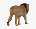 Lion Walking 3D модель