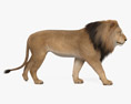 Lion Walking Modello 3D