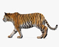 Walking Tiger 3D 모델 