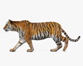 Walking Tiger 3D модель