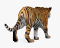 Walking Tiger 3Dモデル