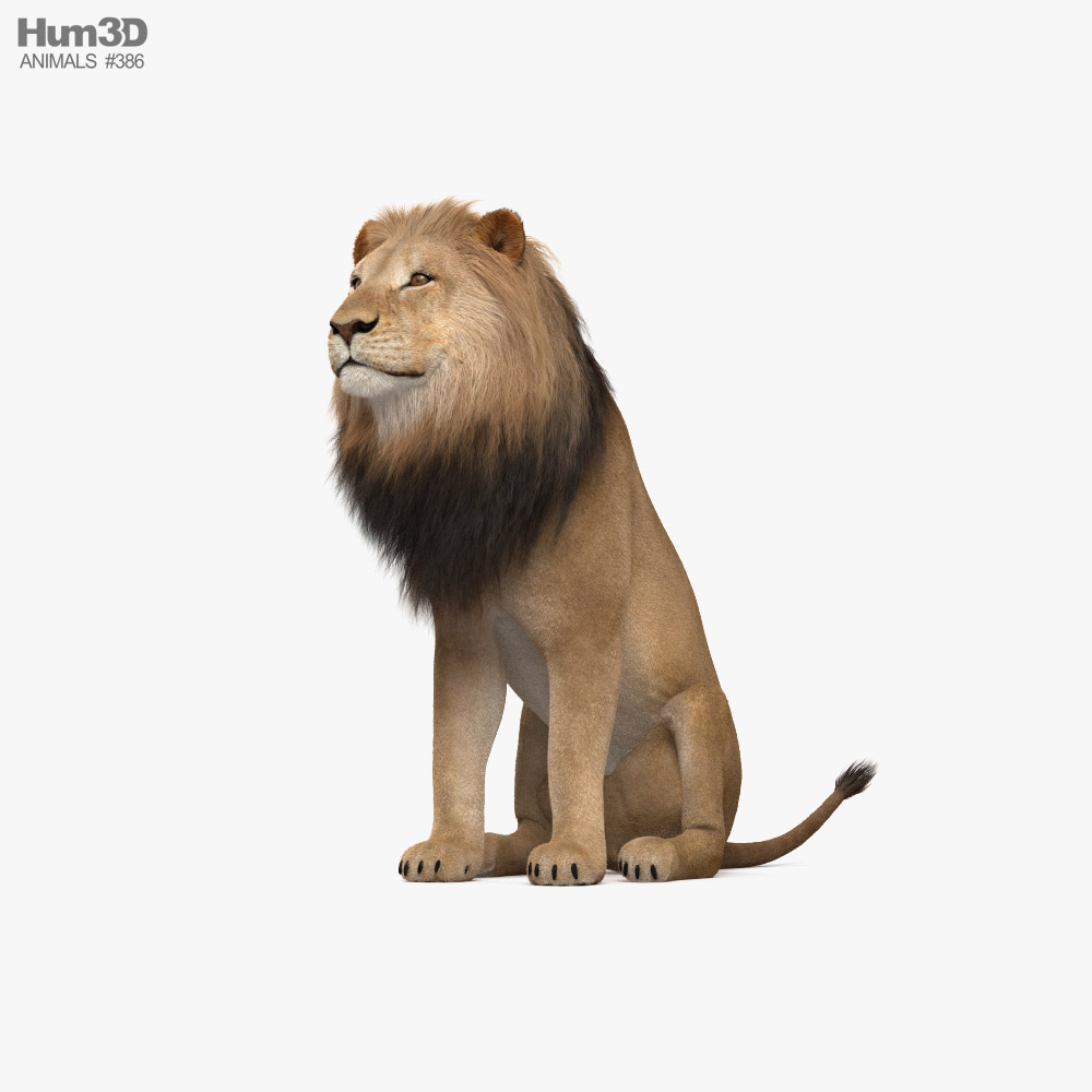 Sitting Lion 3D model